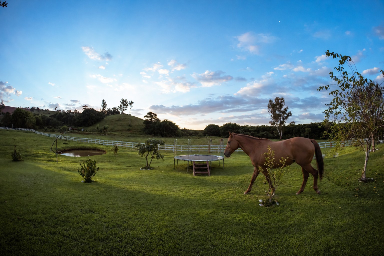 Campo aberto